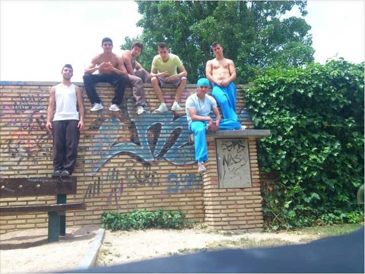 TZ Family grupo